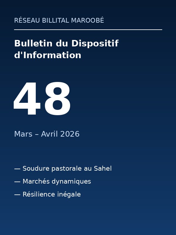 Bulletin du Dispositif d'Information RBM — Mars-Avril 2026