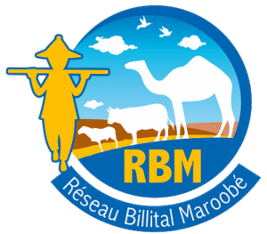 Logo RBM